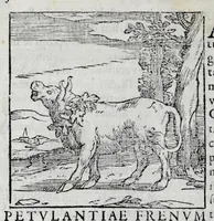 Picture 15 of 31 from Ioannis Pierii Valeriani Hieroglyphicorvm ex sacris Aegyptiorum literis libri octo (1556), leaf 44