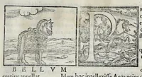 Picture 17 of 31 from Ioannis Pierii Valeriani Hieroglyphicorvm ex sacris Aegyptiorum literis libri octo (1556), leaf 63