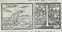 Picture 19 of 31 from Ioannis Pierii Valeriani Hieroglyphicorvm ex sacris Aegyptiorum literis libri octo (1556), leaf 79