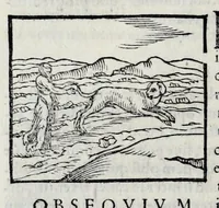 Picture 21 of 31 from Ioannis Pierii Valeriani Hieroglyphicorvm ex sacris Aegyptiorum literis libri octo (1556), leaf 86