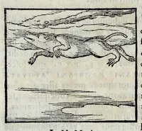 An illustration from Ioannis Pierii Valeriani Hieroglyphicorvm ex sacris Aegyptiorum literis libri octo (1556)