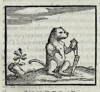 Picture 24 of 31 from Ioannis Pierii Valeriani Hieroglyphicorvm ex sacris Aegyptiorum literis libri octo (1556), leaf 95