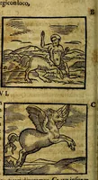 Picture 35 of 293 from Ioannis Pierii Valeriani Bellvnesis Hieroglyphica, sive De sacris Aegypticrvm aliarumq[ue] gentium literis, commentariorum libri LVIII cum duobus alijs ab eruditissimo viro annexis. Accesserunt loco auctarij, Hieroglyphicorum collectanea, ex veteribus & recentioribus auctoribus descripta, & in sex libros digesta. Horapollinis item hieroglyphicorum libri duo, ex postrema Dauidis Hoeschelij correctione. Praetereà eiusdem Pierij declamatiuncula Pro barbis sacerdotum, & reliqua opuscula siue Poemata omnia (1614), leaf 109