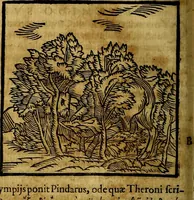 Picture 53 of 293 from Ioannis Pierii Valeriani Bellvnesis Hieroglyphica, sive De sacris Aegypticrvm aliarumq[ue] gentium literis, commentariorum libri LVIII cum duobus alijs ab eruditissimo viro annexis. Accesserunt loco auctarij, Hieroglyphicorum collectanea, ex veteribus & recentioribus auctoribus descripta, & in sex libros digesta. Horapollinis item hieroglyphicorum libri duo, ex postrema Dauidis Hoeschelij correctione. Praetereà eiusdem Pierij declamatiuncula Pro barbis sacerdotum, & reliqua opuscula siue Poemata omnia (1614), leaf 147