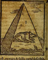Picture 62 of 293 from Ioannis Pierii Valeriani Bellvnesis Hieroglyphica, sive De sacris Aegypticrvm aliarumq[ue] gentium literis, commentariorum libri LVIII cum duobus alijs ab eruditissimo viro annexis. Accesserunt loco auctarij, Hieroglyphicorum collectanea, ex veteribus & recentioribus auctoribus descripta, & in sex libros digesta. Horapollinis item hieroglyphicorum libri duo, ex postrema Dauidis Hoeschelij correctione. Praetereà eiusdem Pierij declamatiuncula Pro barbis sacerdotum, & reliqua opuscula siue Poemata omnia (1614), leaf 167