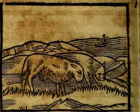 An illustration from Ioannis Pierii Valeriani Bellvnesis Hieroglyphica, sive De sacris Aegypticrvm aliarumq[ue] gentium literis, commentariorum libri LVIII cum duobus alijs ab eruditissimo viro annexis. Accesserunt loco auctarij, Hieroglyphicorum collectanea, ex veteribus & recentioribus auctoribus descripta, & in sex libros digesta. Horapollinis item hieroglyphicorum libri duo, ex postrema Dauidis Hoeschelij correctione. Praetereà eiusdem Pierij declamatiuncula Pro barbis sacerdotum, & reliqua opuscula siue Poemata omnia (1614)