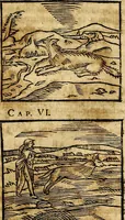 Picture 73 of 293 from Ioannis Pierii Valeriani Bellvnesis Hieroglyphica, sive De sacris Aegypticrvm aliarumq[ue] gentium literis, commentariorum libri LVIII cum duobus alijs ab eruditissimo viro annexis. Accesserunt loco auctarij, Hieroglyphicorum collectanea, ex veteribus & recentioribus auctoribus descripta, & in sex libros digesta. Horapollinis item hieroglyphicorum libri duo, ex postrema Dauidis Hoeschelij correctione. Praetereà eiusdem Pierij declamatiuncula Pro barbis sacerdotum, & reliqua opuscula siue Poemata omnia (1614), leaf 190