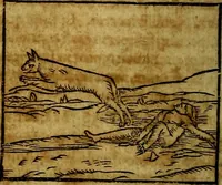 An illustration from Ioannis Pierii Valeriani Bellvnesis Hieroglyphica, sive De sacris Aegypticrvm aliarumq[ue] gentium literis, commentariorum libri LVIII cum duobus alijs ab eruditissimo viro annexis. Accesserunt loco auctarij, Hieroglyphicorum collectanea, ex veteribus & recentioribus auctoribus descripta, & in sex libros digesta. Horapollinis item hieroglyphicorum libri duo, ex postrema Dauidis Hoeschelij correctione. Praetereà eiusdem Pierij declamatiuncula Pro barbis sacerdotum, & reliqua opuscula siue Poemata omnia (1614)