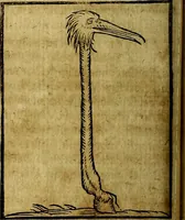 An illustration from Ioannis Pierii Valeriani Bellvnesis Hieroglyphica, sive De sacris Aegypticrvm aliarumq[ue] gentium literis, commentariorum libri LVIII cum duobus alijs ab eruditissimo viro annexis. Accesserunt loco auctarij, Hieroglyphicorum collectanea, ex veteribus & recentioribus auctoribus descripta, & in sex libros digesta. Horapollinis item hieroglyphicorum libri duo, ex postrema Dauidis Hoeschelij correctione. Praetereà eiusdem Pierij declamatiuncula Pro barbis sacerdotum, & reliqua opuscula siue Poemata omnia (1614)