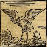 An illustration from Ioannis Pierii Valeriani Bellvnesis Hieroglyphica, sive De sacris Aegypticrvm aliarumq[ue] gentium literis, commentariorum libri LVIII cum duobus alijs ab eruditissimo viro annexis. Accesserunt loco auctarij, Hieroglyphicorum collectanea, ex veteribus & recentioribus auctoribus descripta, & in sex libros digesta. Horapollinis item hieroglyphicorum libri duo, ex postrema Dauidis Hoeschelij correctione. Praetereà eiusdem Pierij declamatiuncula Pro barbis sacerdotum, & reliqua opuscula siue Poemata omnia (1614)