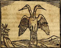 Picture 106 of 293 from Ioannis Pierii Valeriani Bellvnesis Hieroglyphica, sive De sacris Aegypticrvm aliarumq[ue] gentium literis, commentariorum libri LVIII cum duobus alijs ab eruditissimo viro annexis. Accesserunt loco auctarij, Hieroglyphicorum collectanea, ex veteribus & recentioribus auctoribus descripta, & in sex libros digesta. Horapollinis item hieroglyphicorum libri duo, ex postrema Dauidis Hoeschelij correctione. Praetereà eiusdem Pierij declamatiuncula Pro barbis sacerdotum, & reliqua opuscula siue Poemata omnia (1614), leaf 276