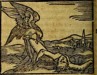 An illustration from Ioannis Pierii Valeriani Bellvnesis Hieroglyphica, sive De sacris Aegypticrvm aliarumq[ue] gentium literis, commentariorum libri LVIII cum duobus alijs ab eruditissimo viro annexis. Accesserunt loco auctarij, Hieroglyphicorum collectanea, ex veteribus & recentioribus auctoribus descripta, & in sex libros digesta. Horapollinis item hieroglyphicorum libri duo, ex postrema Dauidis Hoeschelij correctione. Praetereà eiusdem Pierij declamatiuncula Pro barbis sacerdotum, & reliqua opuscula siue Poemata omnia (1614)