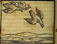 An illustration from Ioannis Pierii Valeriani Bellvnesis Hieroglyphica, sive De sacris Aegypticrvm aliarumq[ue] gentium literis, commentariorum libri LVIII cum duobus alijs ab eruditissimo viro annexis. Accesserunt loco auctarij, Hieroglyphicorum collectanea, ex veteribus & recentioribus auctoribus descripta, & in sex libros digesta. Horapollinis item hieroglyphicorum libri duo, ex postrema Dauidis Hoeschelij correctione. Praetereà eiusdem Pierij declamatiuncula Pro barbis sacerdotum, & reliqua opuscula siue Poemata omnia (1614)