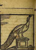 Picture 131 of 293 from Ioannis Pierii Valeriani Bellvnesis Hieroglyphica, sive De sacris Aegypticrvm aliarumq[ue] gentium literis, commentariorum libri LVIII cum duobus alijs ab eruditissimo viro annexis. Accesserunt loco auctarij, Hieroglyphicorum collectanea, ex veteribus & recentioribus auctoribus descripta, & in sex libros digesta. Horapollinis item hieroglyphicorum libri duo, ex postrema Dauidis Hoeschelij correctione. Praetereà eiusdem Pierij declamatiuncula Pro barbis sacerdotum, & reliqua opuscula siue Poemata omnia (1614), leaf 347