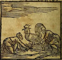 An illustration from Ioannis Pierii Valeriani Bellvnesis Hieroglyphica, sive De sacris Aegypticrvm aliarumq[ue] gentium literis, commentariorum libri LVIII cum duobus alijs ab eruditissimo viro annexis. Accesserunt loco auctarij, Hieroglyphicorum collectanea, ex veteribus & recentioribus auctoribus descripta, & in sex libros digesta. Horapollinis item hieroglyphicorum libri duo, ex postrema Dauidis Hoeschelij correctione. Praetereà eiusdem Pierij declamatiuncula Pro barbis sacerdotum, & reliqua opuscula siue Poemata omnia (1614)