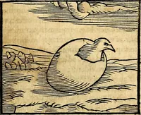 An illustration from Ioannis Pierii Valeriani Bellvnesis Hieroglyphica, sive De sacris Aegypticrvm aliarumq[ue] gentium literis, commentariorum libri LVIII cum duobus alijs ab eruditissimo viro annexis. Accesserunt loco auctarij, Hieroglyphicorum collectanea, ex veteribus & recentioribus auctoribus descripta, & in sex libros digesta. Horapollinis item hieroglyphicorum libri duo, ex postrema Dauidis Hoeschelij correctione. Praetereà eiusdem Pierij declamatiuncula Pro barbis sacerdotum, & reliqua opuscula siue Poemata omnia (1614)