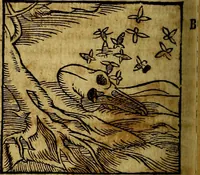 An illustration from Ioannis Pierii Valeriani Bellvnesis Hieroglyphica, sive De sacris Aegypticrvm aliarumq[ue] gentium literis, commentariorum libri LVIII cum duobus alijs ab eruditissimo viro annexis. Accesserunt loco auctarij, Hieroglyphicorum collectanea, ex veteribus & recentioribus auctoribus descripta, & in sex libros digesta. Horapollinis item hieroglyphicorum libri duo, ex postrema Dauidis Hoeschelij correctione. Praetereà eiusdem Pierij declamatiuncula Pro barbis sacerdotum, & reliqua opuscula siue Poemata omnia (1614)