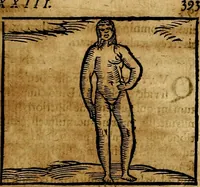 Picture 167 of 293 from Ioannis Pierii Valeriani Bellvnesis Hieroglyphica, sive De sacris Aegypticrvm aliarumq[ue] gentium literis, commentariorum libri LVIII cum duobus alijs ab eruditissimo viro annexis. Accesserunt loco auctarij, Hieroglyphicorum collectanea, ex veteribus & recentioribus auctoribus descripta, & in sex libros digesta. Horapollinis item hieroglyphicorum libri duo, ex postrema Dauidis Hoeschelij correctione. Praetereà eiusdem Pierij declamatiuncula Pro barbis sacerdotum, & reliqua opuscula siue Poemata omnia (1614), leaf 456