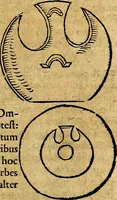 Picture 210 of 293 from Ioannis Pierii Valeriani Bellvnesis Hieroglyphica, sive De sacris Aegypticrvm aliarumq[ue] gentium literis, commentariorum libri LVIII cum duobus alijs ab eruditissimo viro annexis. Accesserunt loco auctarij, Hieroglyphicorum collectanea, ex veteribus & recentioribus auctoribus descripta, & in sex libros digesta. Horapollinis item hieroglyphicorum libri duo, ex postrema Dauidis Hoeschelij correctione. Praetereà eiusdem Pierij declamatiuncula Pro barbis sacerdotum, & reliqua opuscula siue Poemata omnia (1614), leaf 594