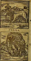 Picture 14 of 293 from Ioannis Pierii Valeriani Bellvnesis Hieroglyphica, sive De sacris Aegypticrvm aliarumq[ue] gentium literis, commentariorum libri LVIII cum duobus alijs ab eruditissimo viro annexis. Accesserunt loco auctarij, Hieroglyphicorum collectanea, ex veteribus & recentioribus auctoribus descripta, & in sex libros digesta. Horapollinis item hieroglyphicorum libri duo, ex postrema Dauidis Hoeschelij correctione. Praetereà eiusdem Pierij declamatiuncula Pro barbis sacerdotum, & reliqua opuscula siue Poemata omnia (1614), leaf 77