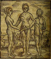 Picture 272 of 293 from Ioannis Pierii Valeriani Bellvnesis Hieroglyphica, sive De sacris Aegypticrvm aliarumq[ue] gentium literis, commentariorum libri LVIII cum duobus alijs ab eruditissimo viro annexis. Accesserunt loco auctarij, Hieroglyphicorum collectanea, ex veteribus & recentioribus auctoribus descripta, & in sex libros digesta. Horapollinis item hieroglyphicorum libri duo, ex postrema Dauidis Hoeschelij correctione. Praetereà eiusdem Pierij declamatiuncula Pro barbis sacerdotum, & reliqua opuscula siue Poemata omnia (1614), leaf 809