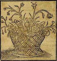 Picture 282 of 293 from Ioannis Pierii Valeriani Bellvnesis Hieroglyphica, sive De sacris Aegypticrvm aliarumq[ue] gentium literis, commentariorum libri LVIII cum duobus alijs ab eruditissimo viro annexis. Accesserunt loco auctarij, Hieroglyphicorum collectanea, ex veteribus & recentioribus auctoribus descripta, & in sex libros digesta. Horapollinis item hieroglyphicorum libri duo, ex postrema Dauidis Hoeschelij correctione. Praetereà eiusdem Pierij declamatiuncula Pro barbis sacerdotum, & reliqua opuscula siue Poemata omnia (1614), leaf 819