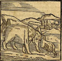 An illustration from Ioannis Pierii Valeriani Bellvnesis Hieroglyphica, sive De sacris Aegypticrvm aliarumq[ue] gentium literis, commentariorum libri LVIII cum duobus alijs ab eruditissimo viro annexis. Accesserunt loco auctarij, Hieroglyphicorum collectanea, ex veteribus & recentioribus auctoribus descripta, & in sex libros digesta. Horapollinis item hieroglyphicorum libri duo, ex postrema Dauidis Hoeschelij correctione. Praetereà eiusdem Pierij declamatiuncula Pro barbis sacerdotum, & reliqua opuscula siue Poemata omnia (1614)