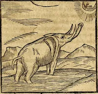An illustration from Ioannis Pierii Valeriani Bellvnesis Hieroglyphica, sive De sacris Aegypticrvm aliarumq[ue] gentium literis, commentariorum libri LVIII cum duobus alijs ab eruditissimo viro annexis. Accesserunt loco auctarij, Hieroglyphicorum collectanea, ex veteribus & recentioribus auctoribus descripta, & in sex libros digesta. Horapollinis item hieroglyphicorum libri duo, ex postrema Dauidis Hoeschelij correctione. Praetereà eiusdem Pierij declamatiuncula Pro barbis sacerdotum, & reliqua opuscula siue Poemata omnia (1614)