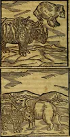 Picture 27 of 293 from Ioannis Pierii Valeriani Bellvnesis Hieroglyphica, sive De sacris Aegypticrvm aliarumq[ue] gentium literis, commentariorum libri LVIII cum duobus alijs ab eruditissimo viro annexis. Accesserunt loco auctarij, Hieroglyphicorum collectanea, ex veteribus & recentioribus auctoribus descripta, & in sex libros digesta. Horapollinis item hieroglyphicorum libri duo, ex postrema Dauidis Hoeschelij correctione. Praetereà eiusdem Pierij declamatiuncula Pro barbis sacerdotum, & reliqua opuscula siue Poemata omnia (1614), leaf 89
