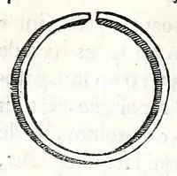 Picture 7 of 8 from Ioannis Rhodii De acia dissertatio ad Cornelii Celsi mentem (1639), leaf 108