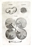 Picture 5 of 8 from Ioannis Rhodii De acia dissertatio ad Cornelii Celsi mentem (1639), leaf 89