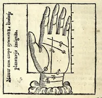 An illustration from Ioannis Sigismvndi Elsholtii Anthropometria : accessit doctrina naevorum (1654)
