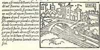 Picture 8 of 25 from Ioannis Taisnier Hannonij De vsu annuli sphaerici libri tres : in quibus quicquid ad geometriae perfectionem requiritur continetur (1550), leaf 22
