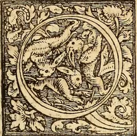 An illustration from Ioannis Tilii Chronicon de regibus Francorum, : à Faramundo usque ad Franciscum primum. Cvi deinceps adivnximvs qvae A' Francisco Primo vsque ad Henricum II. gesta sunt (1569)