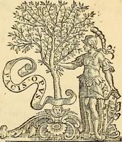 An illustration from Ioannis Veslingii ... Syntagma anatomicum (1647)