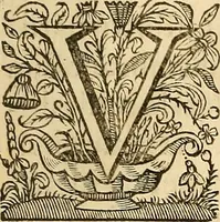 An illustration from Ioannis Veslingii ... Syntagma anatomicum (1647)