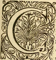 An illustration from Ioannis Veslingii ... Syntagma anatomicum (1647)