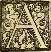 An illustration from Ioannis Veslingii ... Syntagma anatomicum (1647)