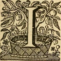 An illustration from Ioannis Veslingii ... Syntagma anatomicum (1647)