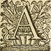 An illustration from Ioannis Veslingii ... Syntagma anatomicum (1647)