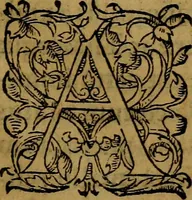 An illustration from Ioan. Veteris Orationes in medicinae commendationem : & in gratiam octodecim medicae laureae candidatorum institutae, ac in eorundem scholis per tres co[n]tinuos dies habitae, in quibus perpetua gymnasiorum corporis & animi comparatio explicatur .. (1560)