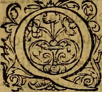 An illustration from Ioan. Veteris Orationes in medicinae commendationem : & in gratiam octodecim medicae laureae candidatorum institutae, ac in eorundem scholis per tres co[n]tinuos dies habitae, in quibus perpetua gymnasiorum corporis & animi comparatio explicatur .. (1560)