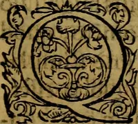 Picture 20 of 22 from Ioan. Veteris Orationes in medicinae commendationem : & in gratiam octodecim medicae laureae candidatorum institutae, ac in eorundem scholis per tres co[n]tinuos dies habitae, in quibus perpetua gymnasiorum corporis & animi comparatio explicatur .. (1560), leaf 140