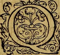 An illustration from Ioan. Veteris Orationes in medicinae commendationem : & in gratiam octodecim medicae laureae candidatorum institutae, ac in eorundem scholis per tres co[n]tinuos dies habitae, in quibus perpetua gymnasiorum corporis & animi comparatio explicatur .. (1560)
