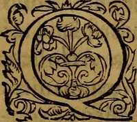 An illustration from Ioan. Veteris Orationes in medicinae commendationem : & in gratiam octodecim medicae laureae candidatorum institutae, ac in eorundem scholis per tres co[n]tinuos dies habitae, in quibus perpetua gymnasiorum corporis & animi comparatio explicatur .. (1560)