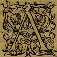 An illustration from Ioan. Veteris Orationes in medicinae commendationem : & in gratiam octodecim medicae laureae candidatorum institutae, ac in eorundem scholis per tres co[n]tinuos dies habitae, in quibus perpetua gymnasiorum corporis & animi comparatio explicatur .. (1560)