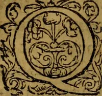 An illustration from Ioan. Veteris Orationes in medicinae commendationem : & in gratiam octodecim medicae laureae candidatorum institutae, ac in eorundem scholis per tres co[n]tinuos dies habitae, in quibus perpetua gymnasiorum corporis & animi comparatio explicatur .. (1560)