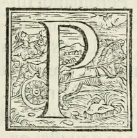 An illustration from Io. Bap. Pignae oratio in fvnere divi imp. Ferdinandi caes. avg (1564)