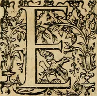 An illustration from Io. Bap. Portae Neopolitani de distillatione lib. IX : quibus certa methodo, multipliciq[ue] artificio, penitioribus naturae arcanis detectis, cuius libet mixti in propria elementa resolutio, perfectè docetur (1608)