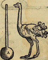 An illustration from Io. Bap. Portae Neopolitani de distillatione lib. IX : quibus certa methodo, multipliciq[ue] artificio, penitioribus naturae arcanis detectis, cuius libet mixti in propria elementa resolutio, perfectè docetur (1608)